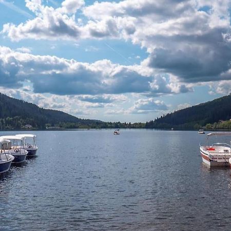 Studio Cosy Ambiance Vosgienne A 20 Mn De Gerardmer Lepanges-sur-Vologne エクステリア 写真