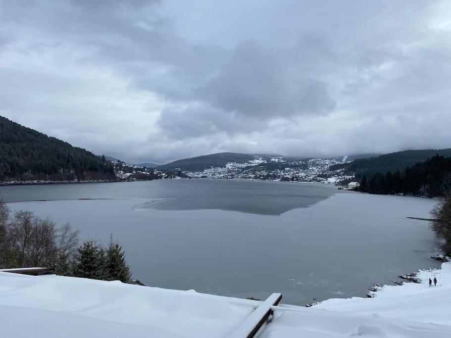 Studio Cosy Ambiance Vosgienne A 20 Mn De Gerardmer Lepanges-sur-Vologne エクステリア 写真