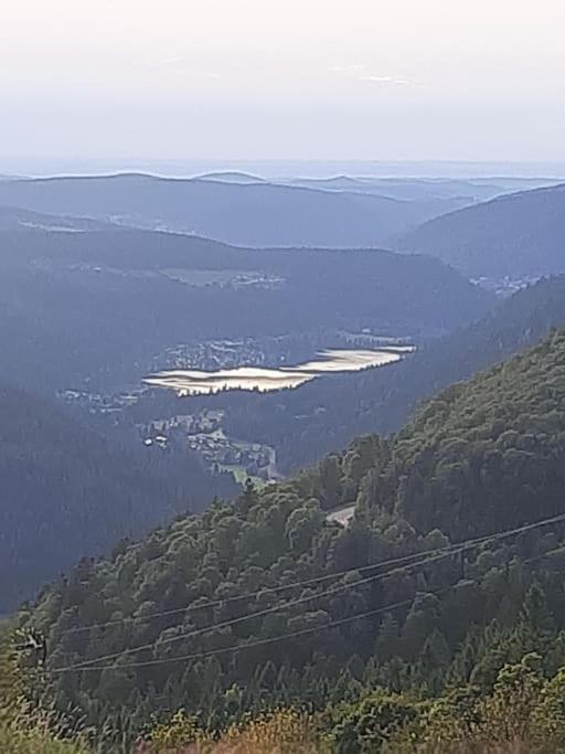Studio Cosy Ambiance Vosgienne A 20 Mn De Gerardmer Lepanges-sur-Vologne エクステリア 写真