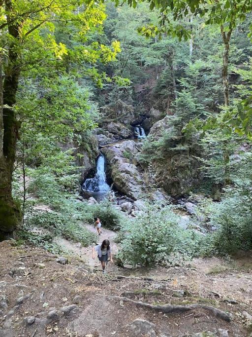 Studio Cosy Ambiance Vosgienne A 20 Mn De Gerardmer Lepanges-sur-Vologne エクステリア 写真