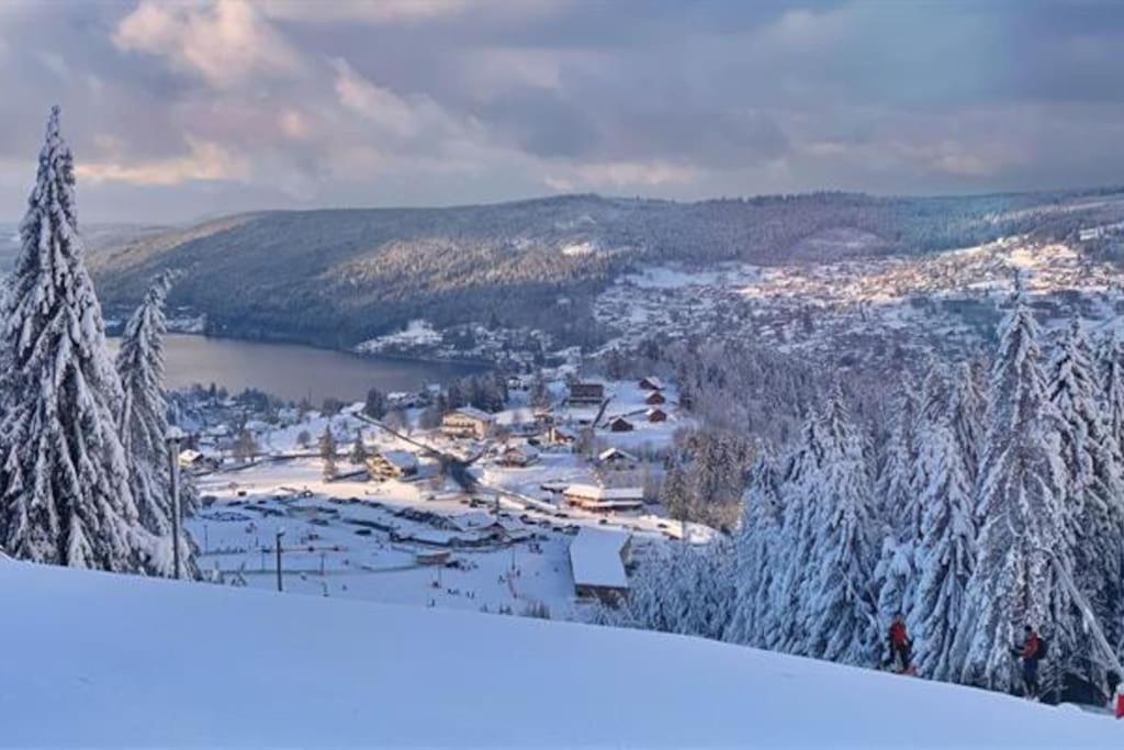 Studio Cosy Ambiance Vosgienne A 20 Mn De Gerardmer Lepanges-sur-Vologne エクステリア 写真